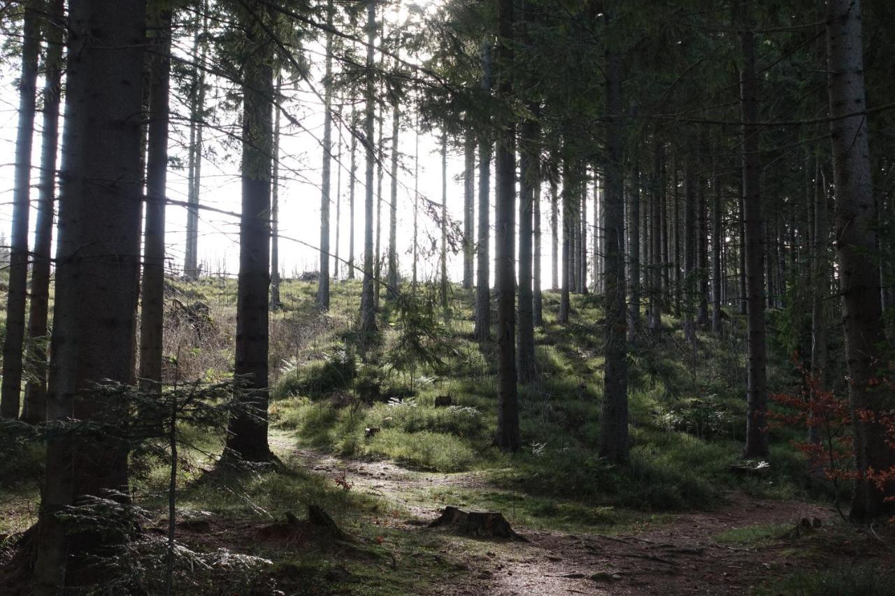 Appartamento Kamzik Donovaly Esterno foto