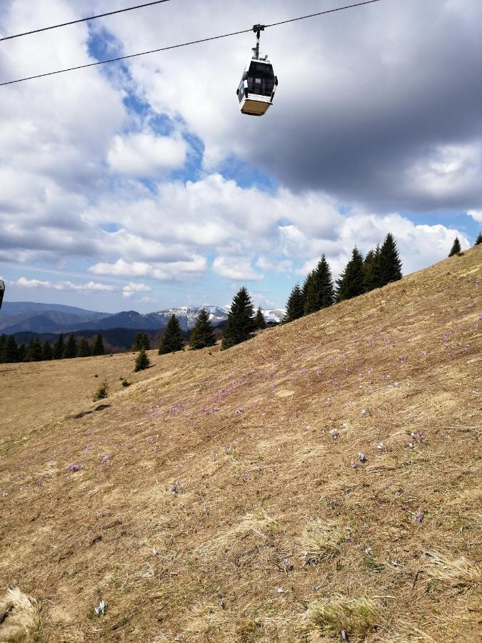 Appartamento Kamzik Donovaly Esterno foto